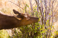 IMG_0718-Edit