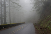 DSC07531
