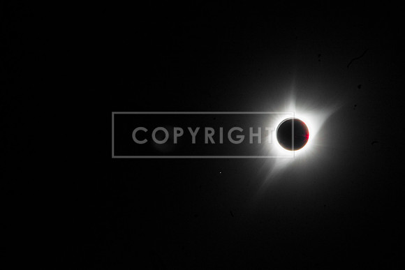 IMG_8562-Edit