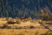 IMG_0634-Edit