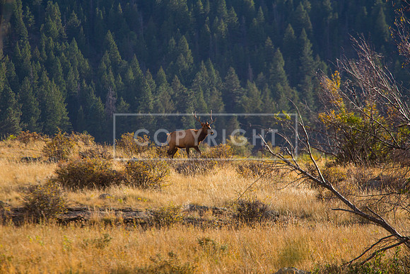 IMG_0634-Edit
