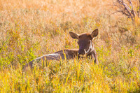 IMG_0692-Edit