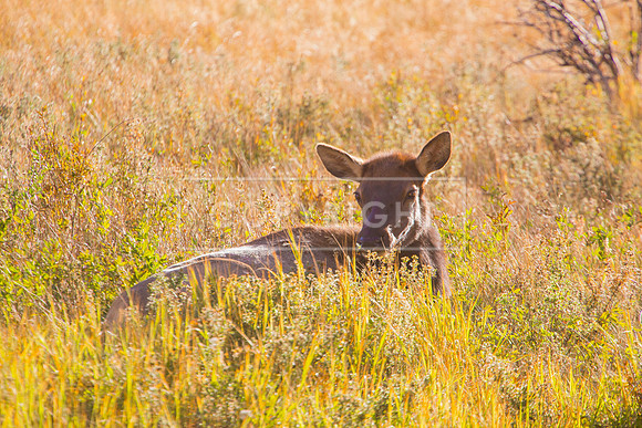 IMG_0692-Edit