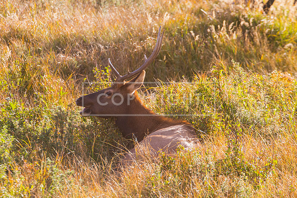 IMG_0740-Edit