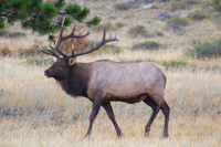 IMG_0880-Edit