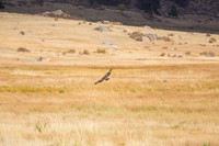 IMG_0599-Edit