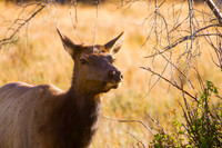 IMG_0716-Edit