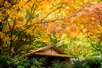 IMG_2051-Edit