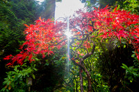 IMG_2027-Edit