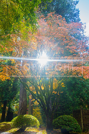 IMG_2035-Edit