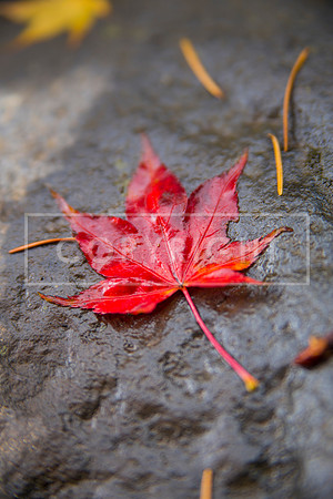 IMG_2104-Edit