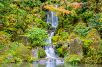 IMG_2068-Edit