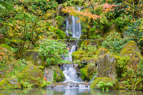IMG_2068-Edit
