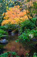 IMG_2083-Edit