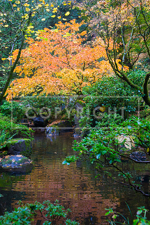 IMG_2083-Edit