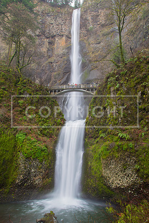 IMG_3295-Edit