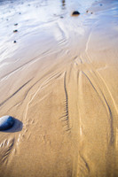 IMG_3481-Edit