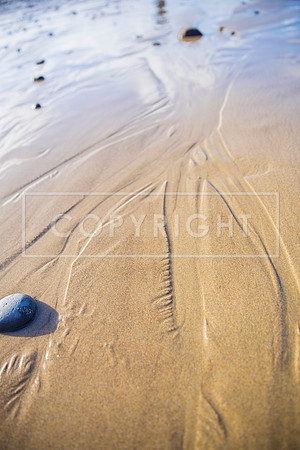 IMG_3481-Edit